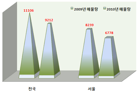 사진1